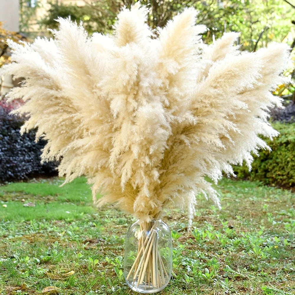 16Pcs Dried Pampas Grass Decor Bouquet Boho Neutral Home