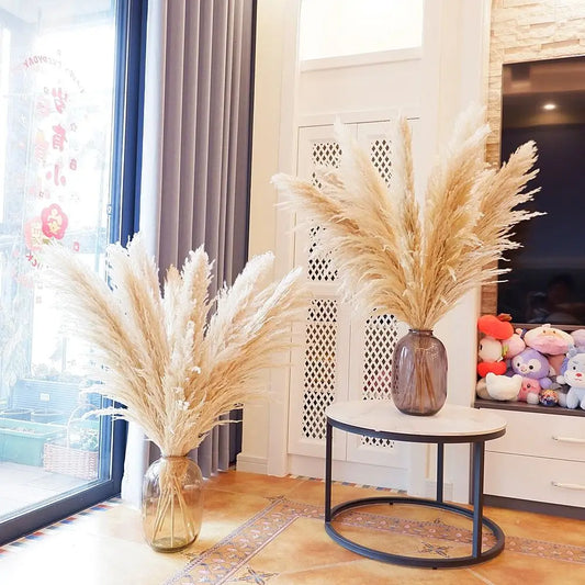 16Pcs Dried Pampas Grass Decor Bouquet Boho Neutral Home
