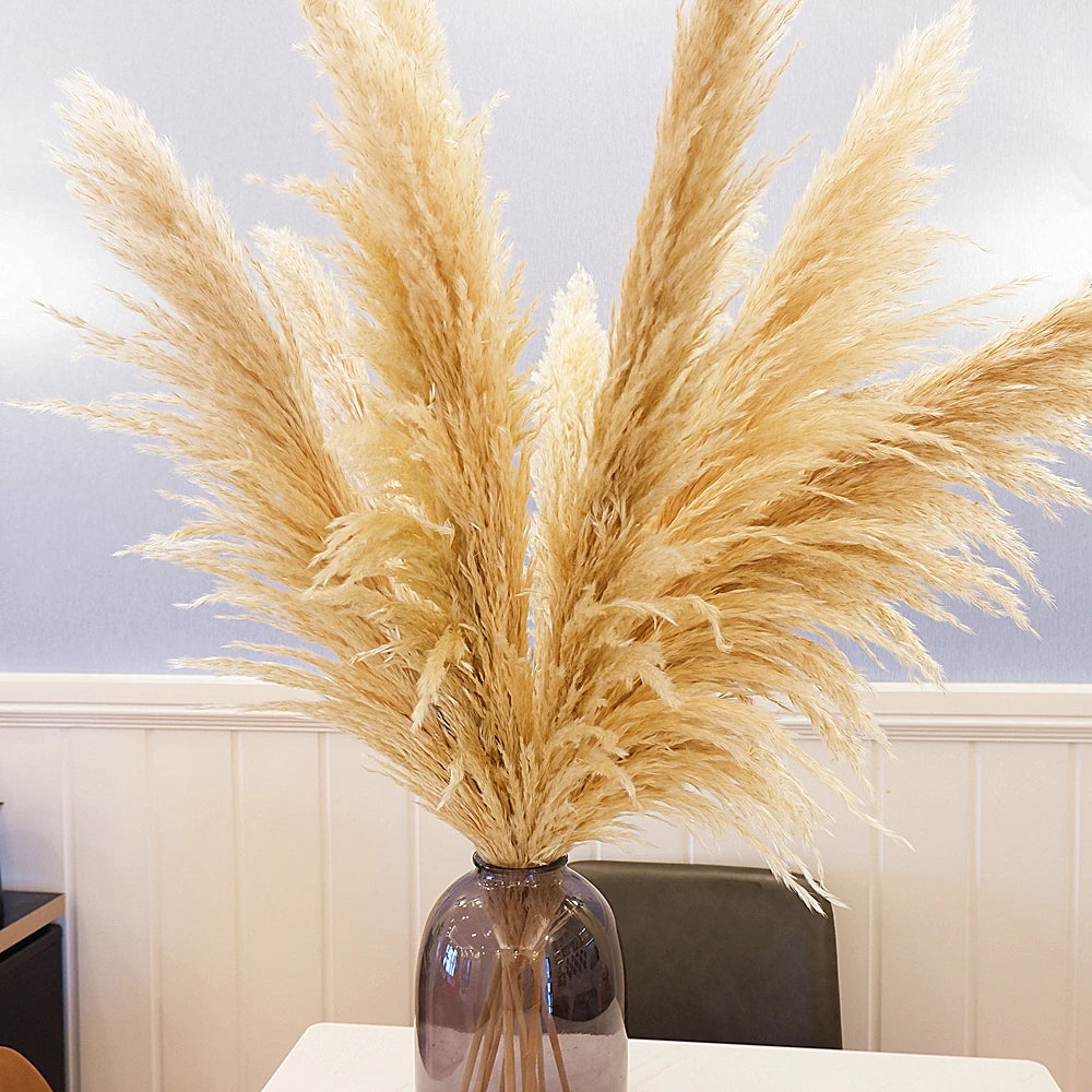 16Pcs Dried Pampas Grass Decor Bouquet Boho Neutral Home