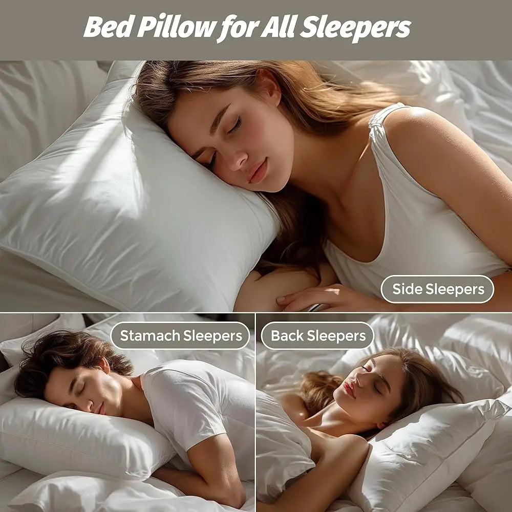 WQSPRING Goose Feather Down Pillows Two Pack Cotton Cover For Back Sleepers